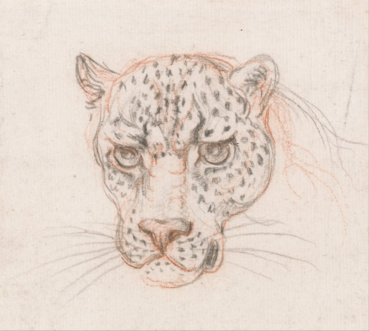 Bir Leopar Başkanı by Unbekannt Unbekannt