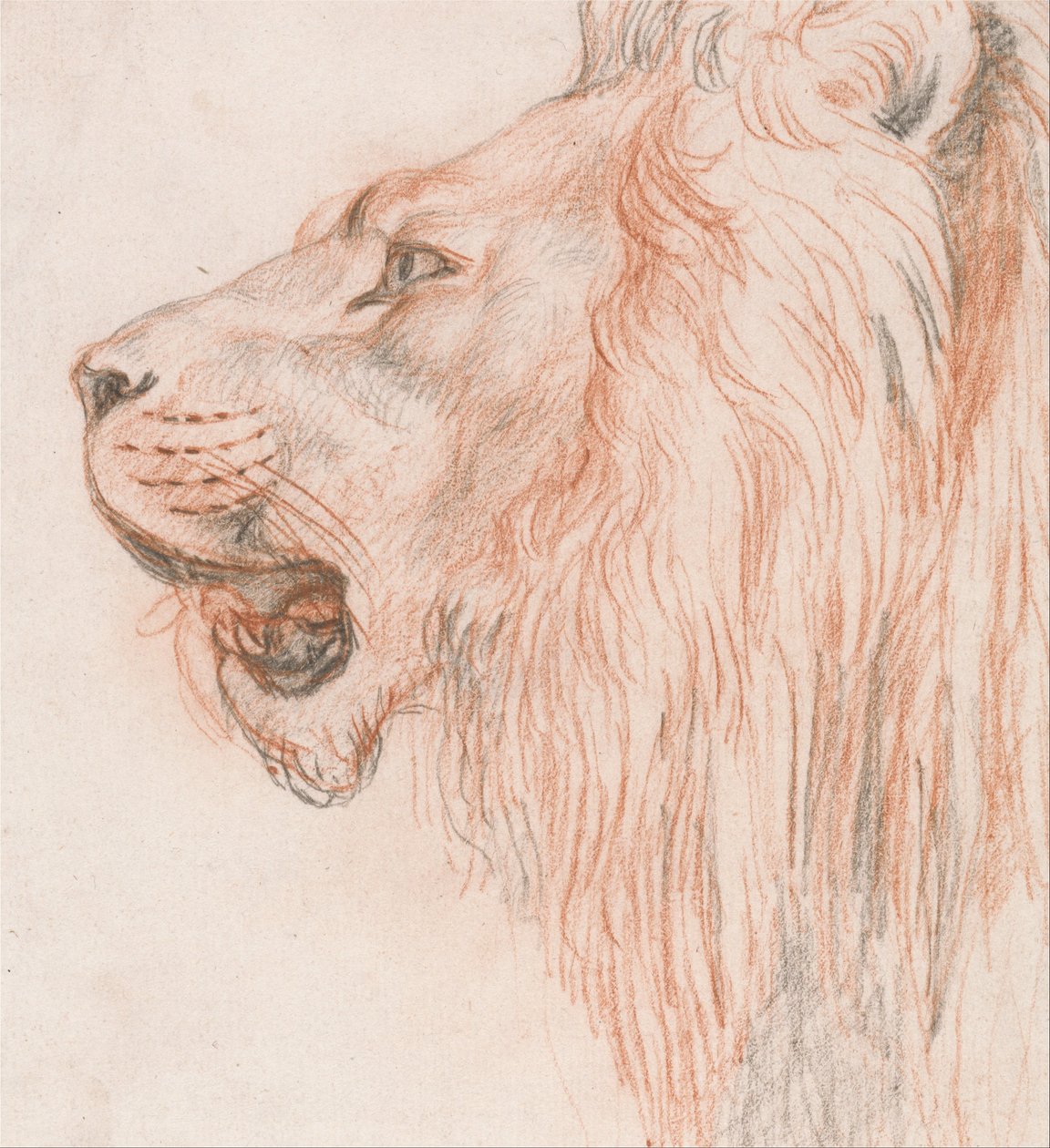 Aslan Başkanı by Unbekannt Unbekannt