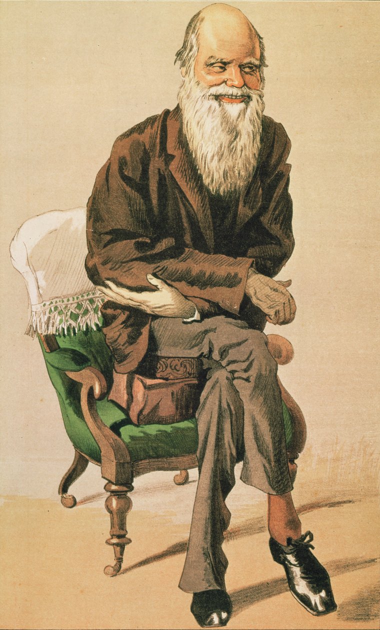 Günün Adamları, hayır. 33, Charles Darwin, Vanity Fair