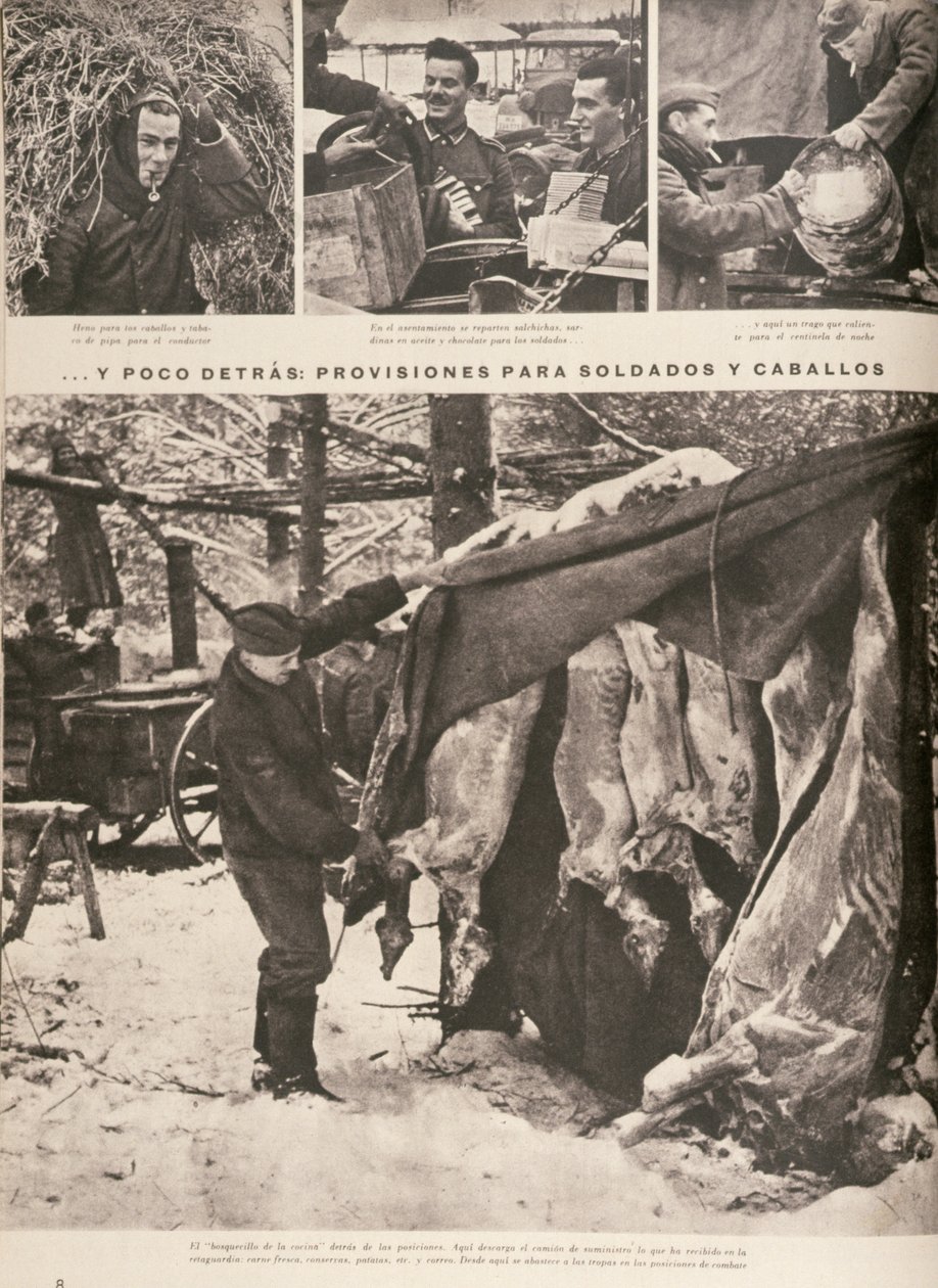 Doğu Cephesi