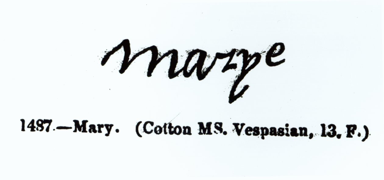 Mary I (1516-1558) imzasının çoğaltılması by Unbekannt Unbekannt