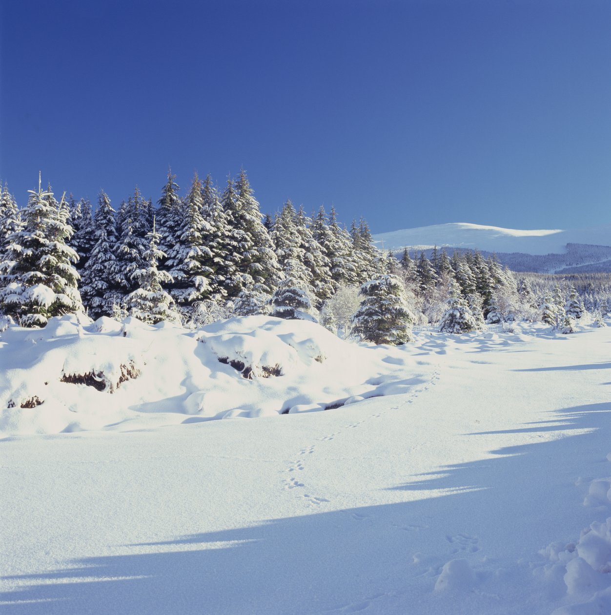 Kışın Wicklow Dağları by Unbekannt Unbekannt