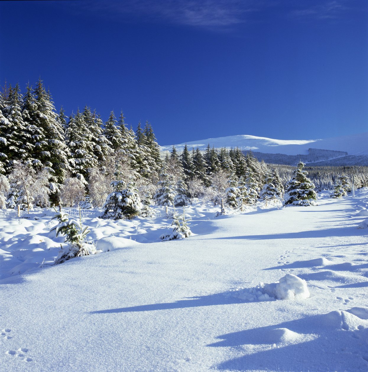 Kışın Wicklow Dağları by Unbekannt Unbekannt