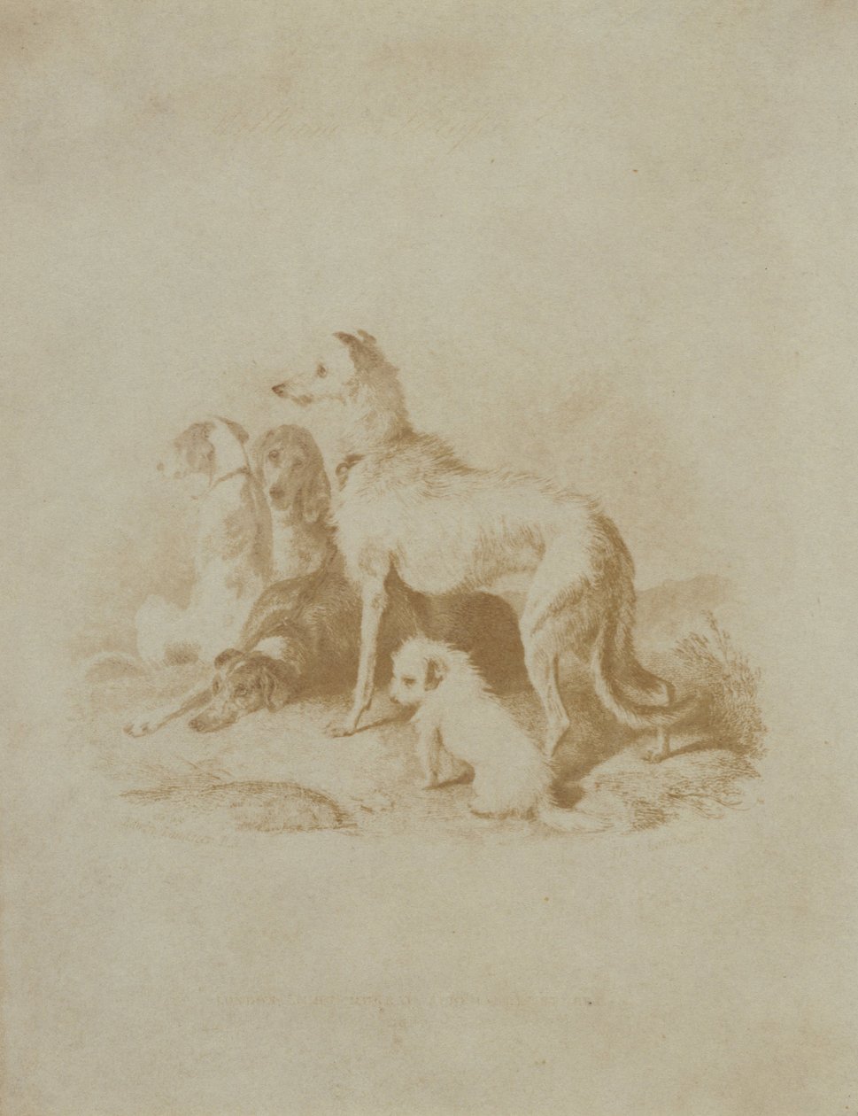 Bilinmeyen yapımcı, İngiliz - (Beş Köpek Grubu) by Unbekannt Unbekannt