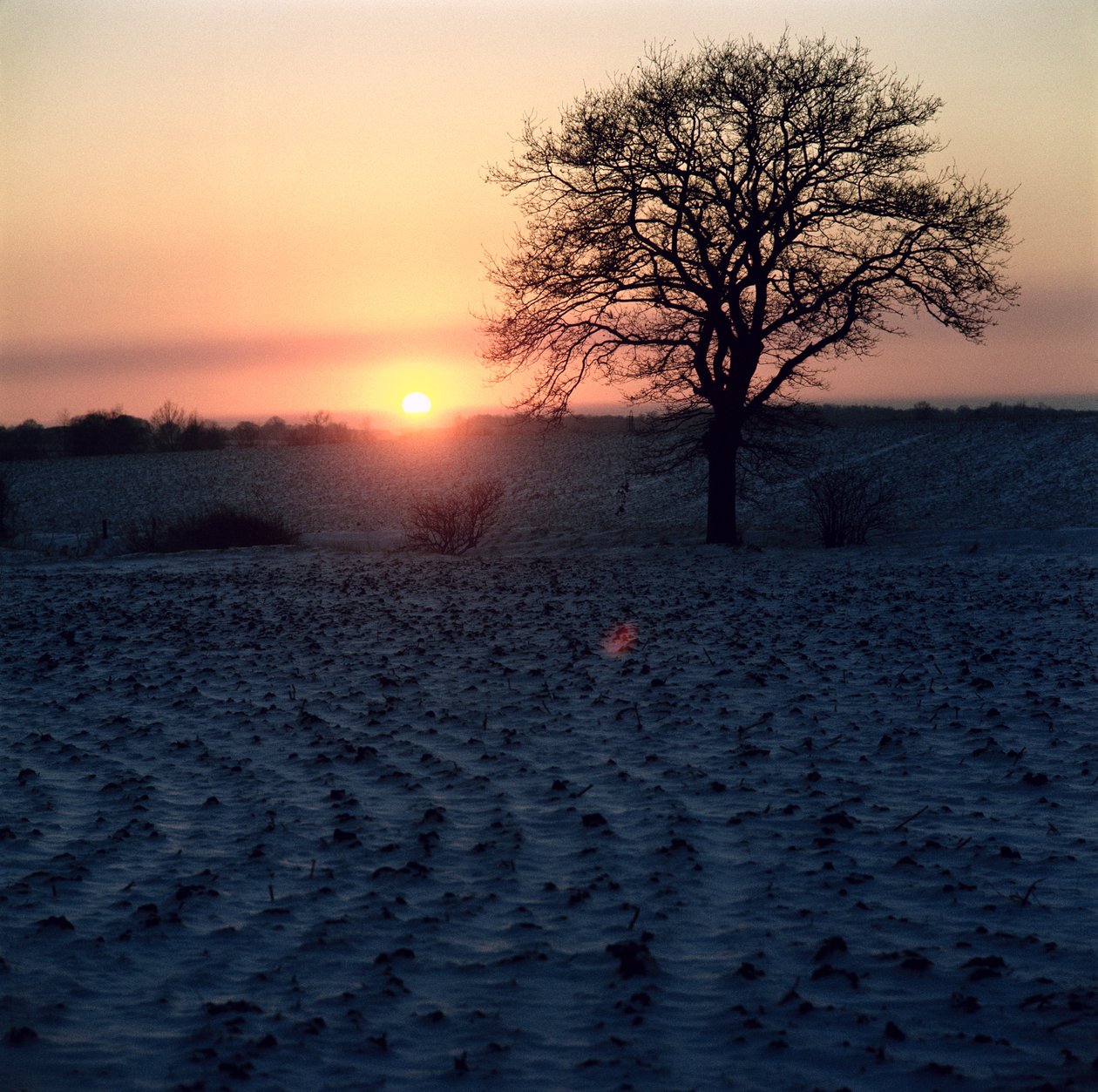 Kış Gün Batımı, Essex by Unbekannt Unbekannt