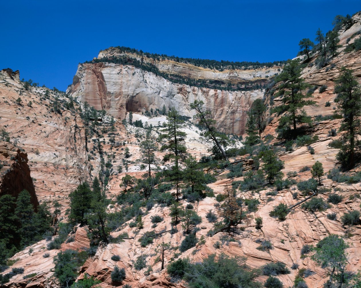 Zion Ulusal Parkı, Utah by Unbekannt Unbekannt