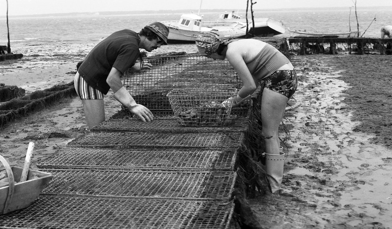 6080 C18 Ostregrower, Vendee Oyster Ağustos 1974 by Unbekannt