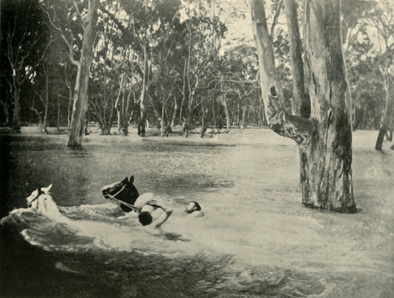 Bir Bankacı, 1901. by Unbekannt