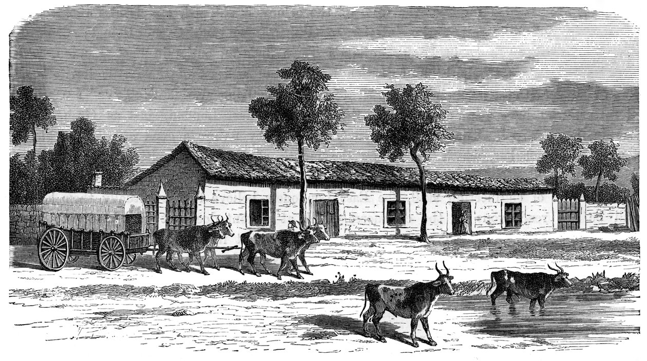 Bir Boer çiftliği, Güney Afrika, c1890 by Unbekannt