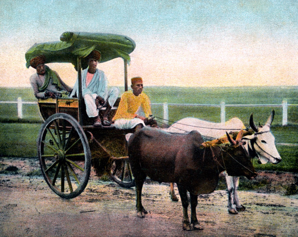 Bir Bombay hesabı, Hindistan, 20. yüzyılın başları by Unbekannt