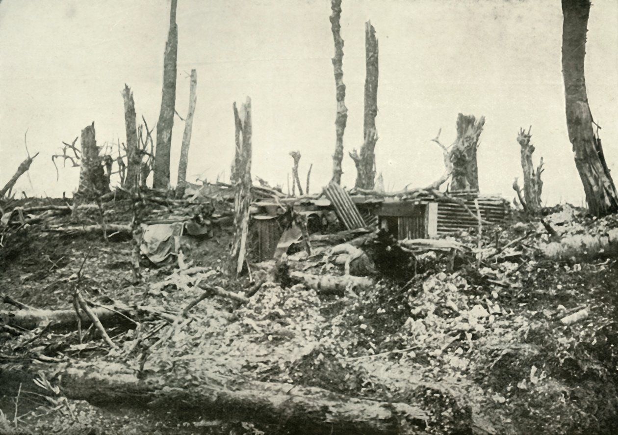 Bir Zamanlar Sylvan Wood Olan Yerde Bir Sığınak, 1919. by Unbekannt