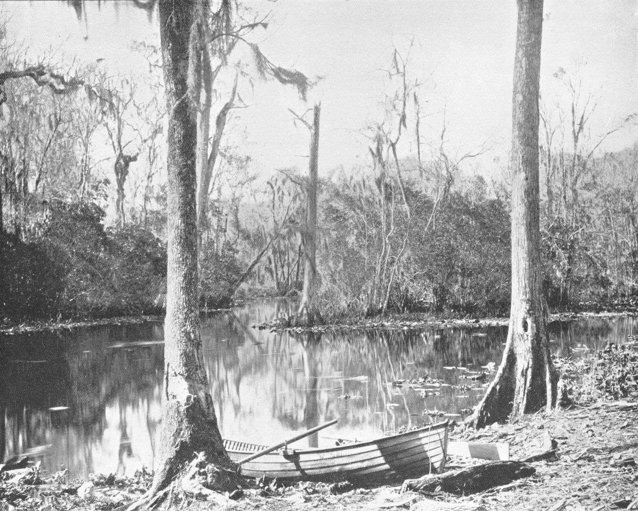 Johns Nehrinin Besleyicisi, Florida, ABD, c1900. by Unbekannt