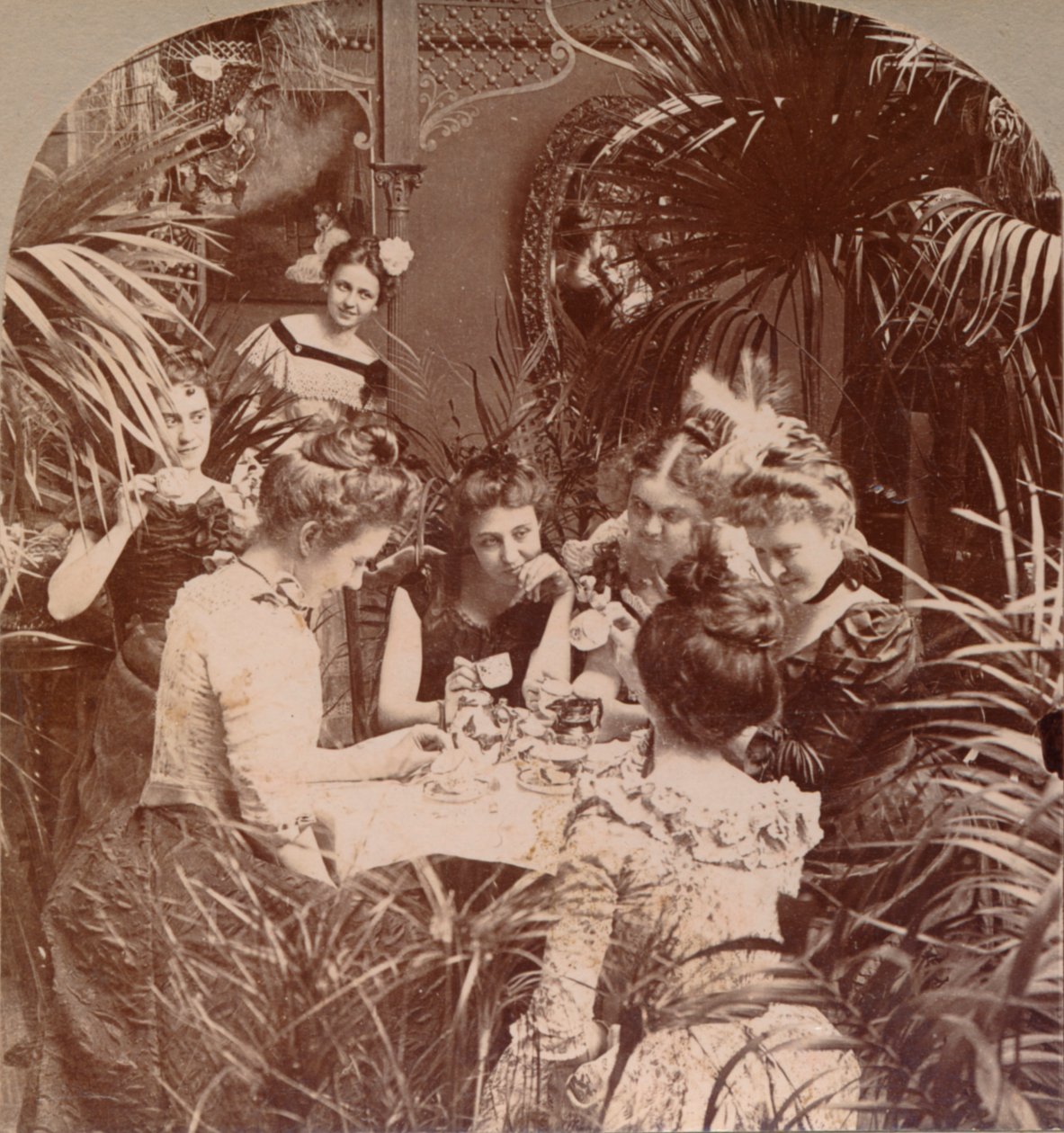 Çay Fincanı İçinde Bir Servet, 1901 by Unbekannt