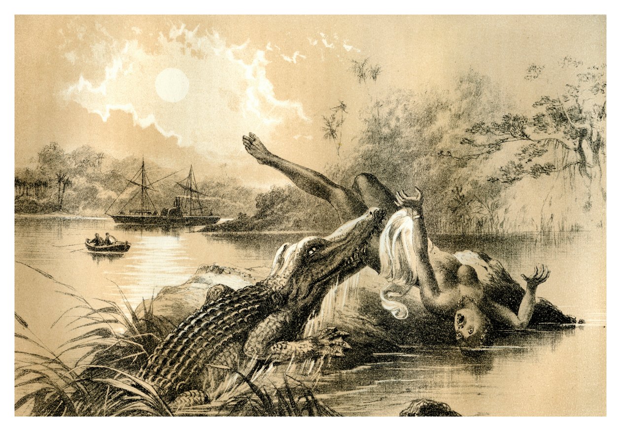 Korkunç Bir Olay, 1883 by Unbekannt