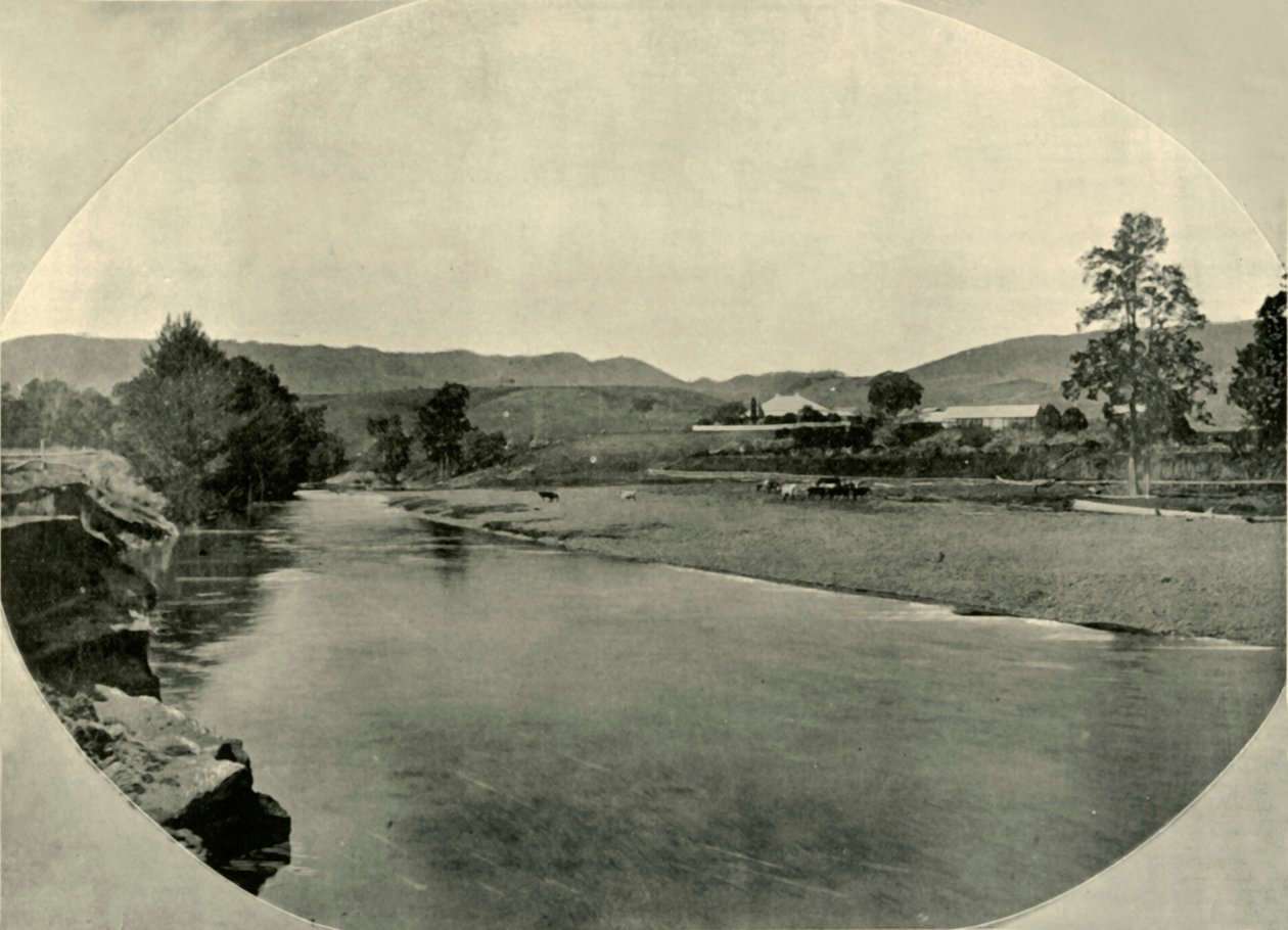 Yeni Güney Galler İstasyonu Homestead, 1901. by Unbekannt