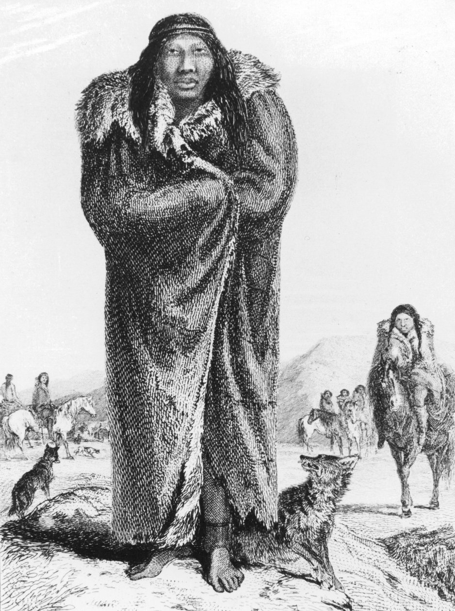 Bir Patagonya, c1831 1839 by Unbekannt