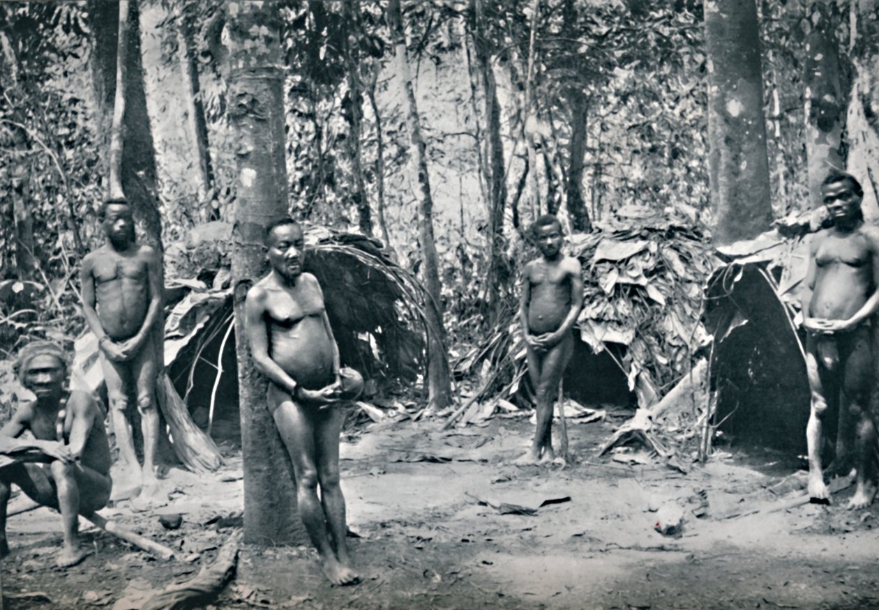 Bir Pigme köyü, Kuzey-Doğu Kongo Havzası, 1912 by Unbekannt