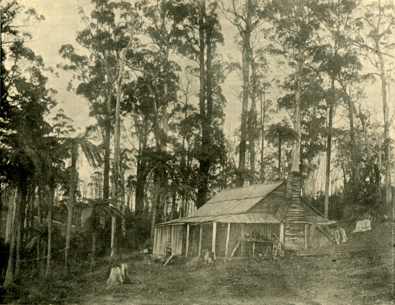Rustik Bir Konut, 1901. by Unbekannt