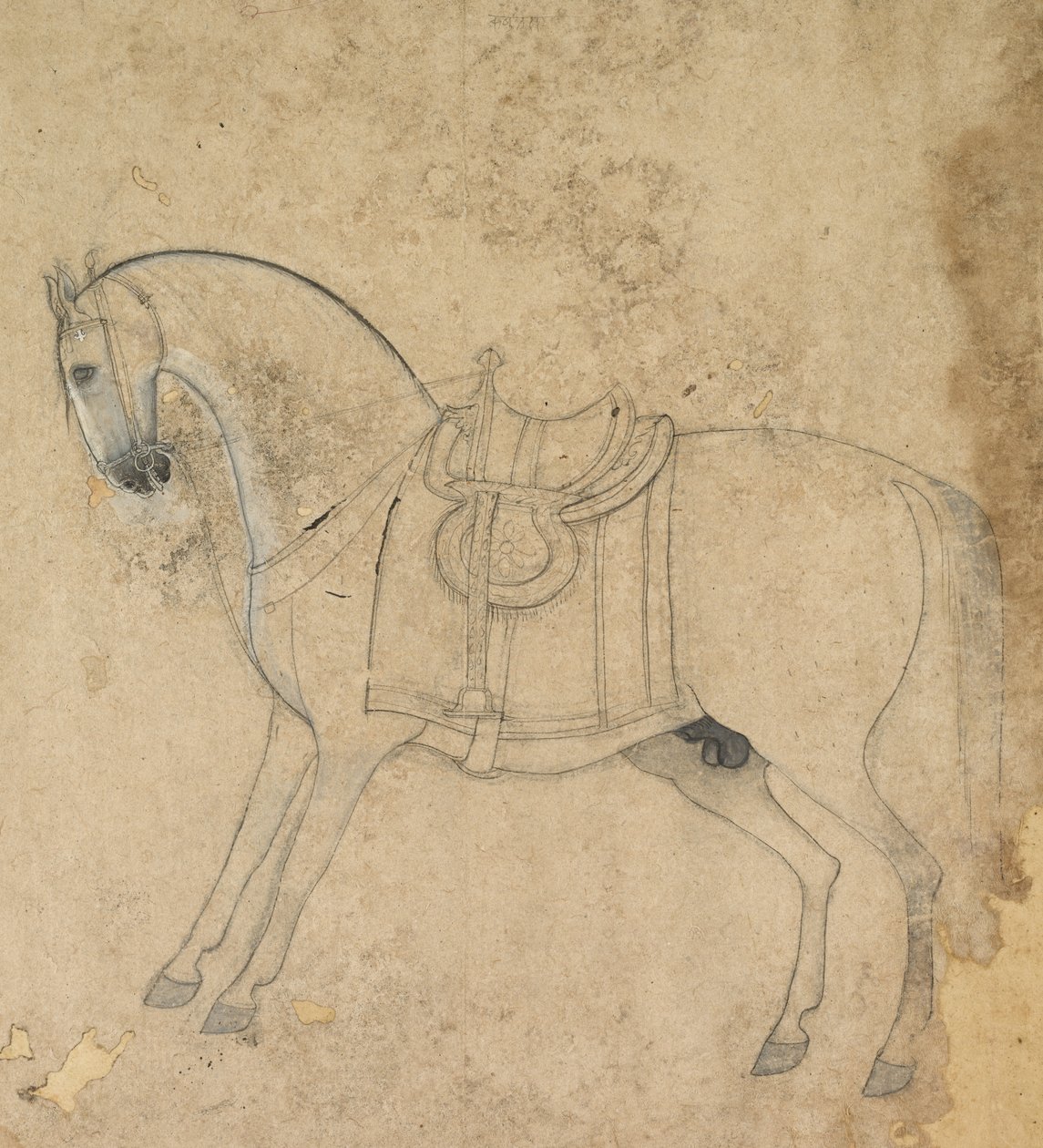 Eyerli At, c. 1750. by Unbekannt