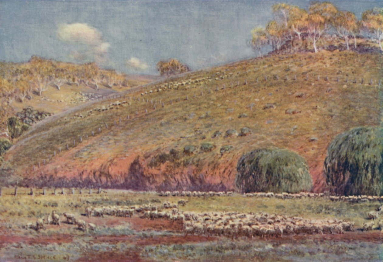 Bir Koyun Koşusu, 1923. by Unbekannt