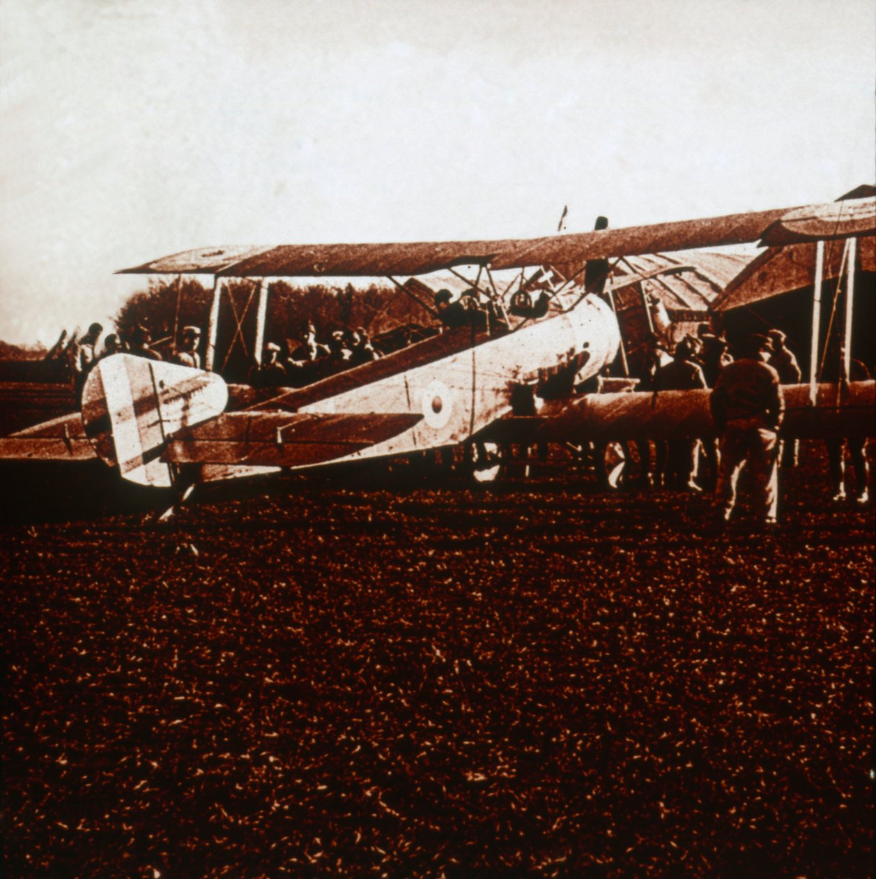Bir Sopwith Camel, c1917-c1918 by Unbekannt