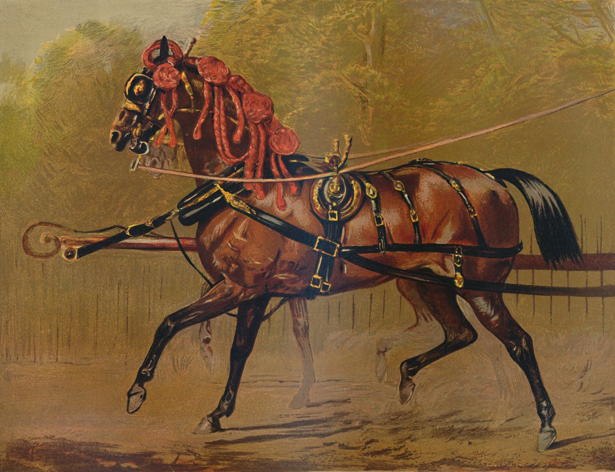 Bir Devlet Arabası Atı, c1879. by Unbekannt
