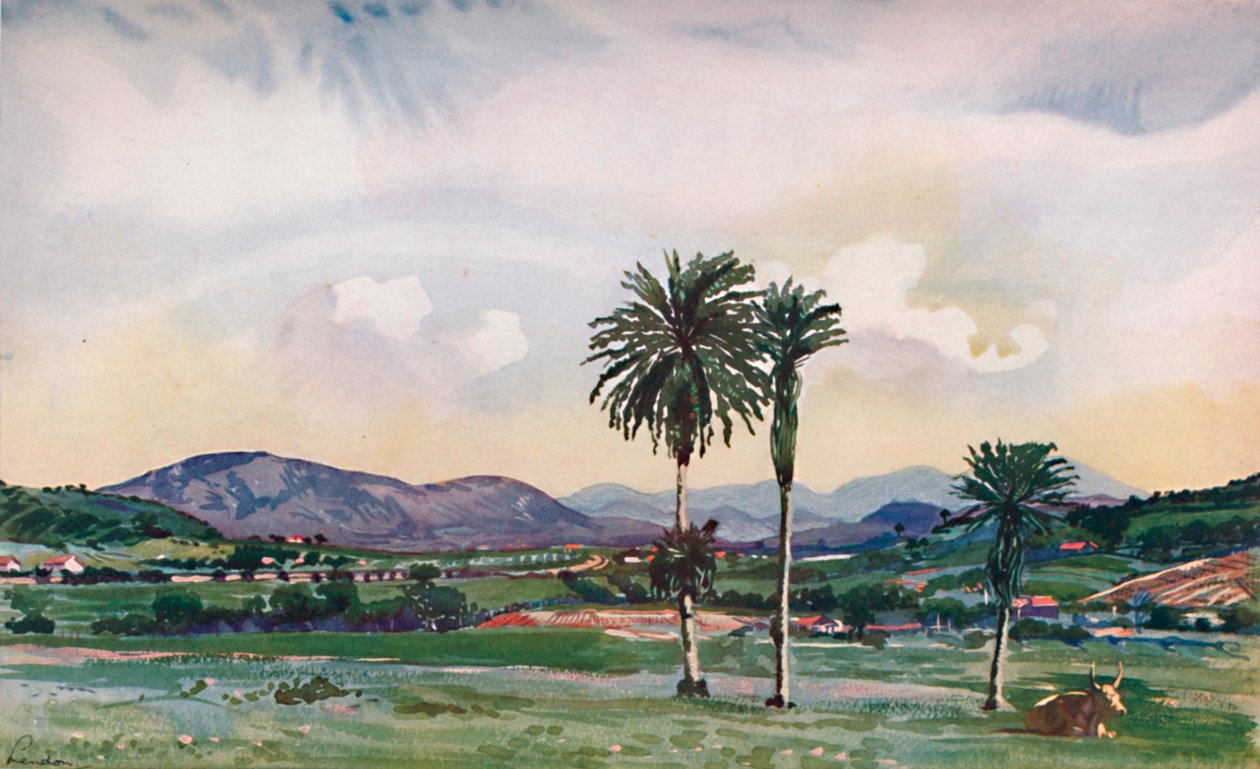 Merkez Demiryolu güzergahı boyunca biraz Rios Kuzey-Batı Banliyöleri, 1914 by Unbekannt
