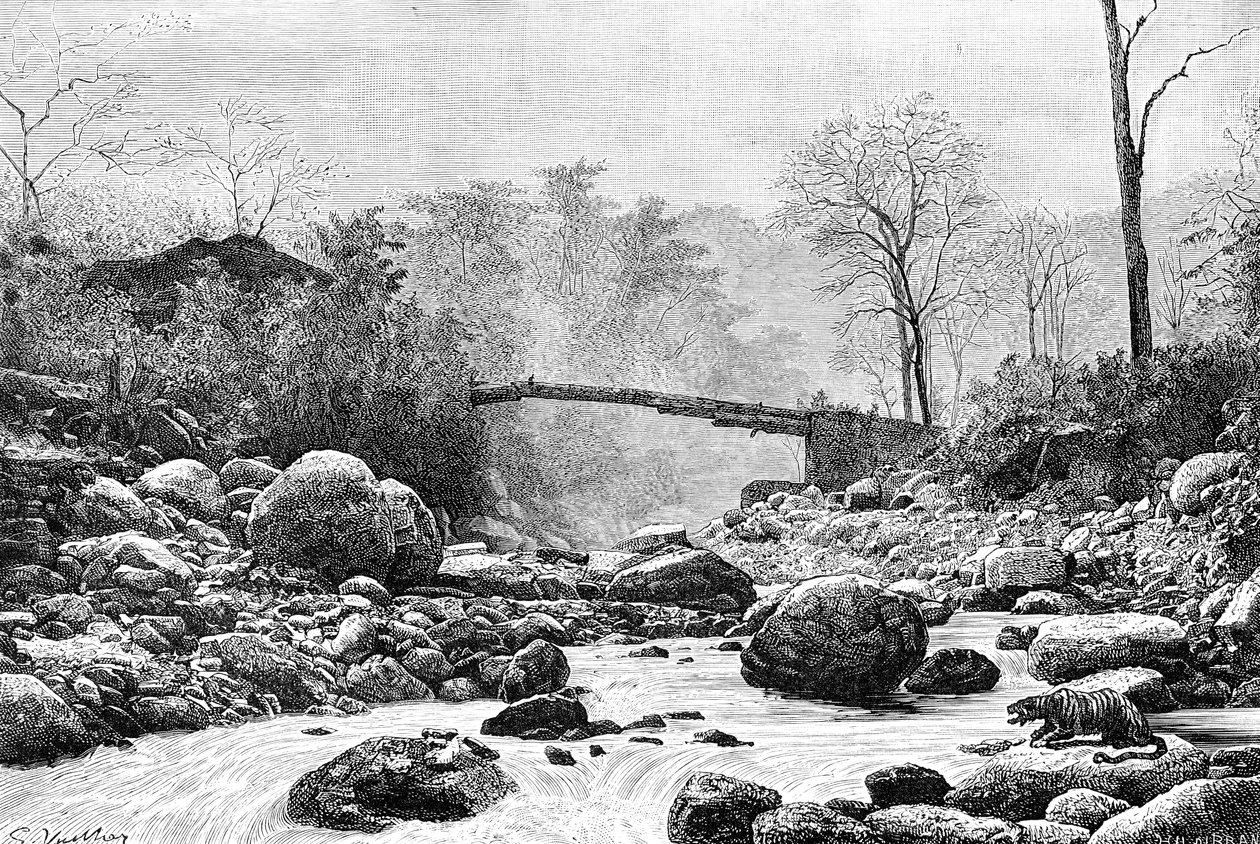 Teesta nehrinin bir kolu olan Rangit üzerinde bir köprü, Hindistan, 1895 by Unbekannt