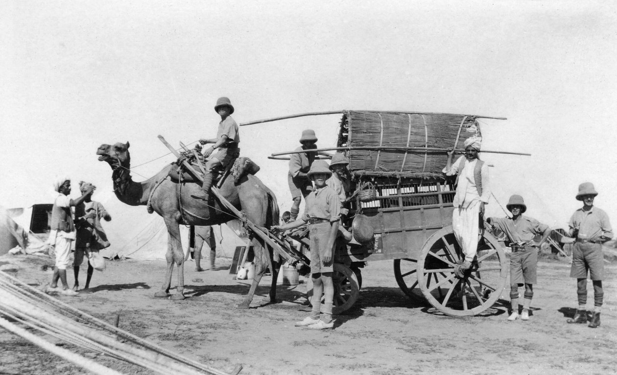 Bir deve arabası, Hindistan, 1916-1917 by Unbekannt
