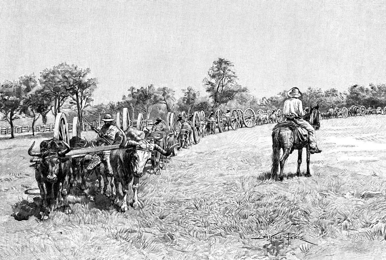 Bir vagon konvoyu, Güney Amerika, 1895 by Unbekannt