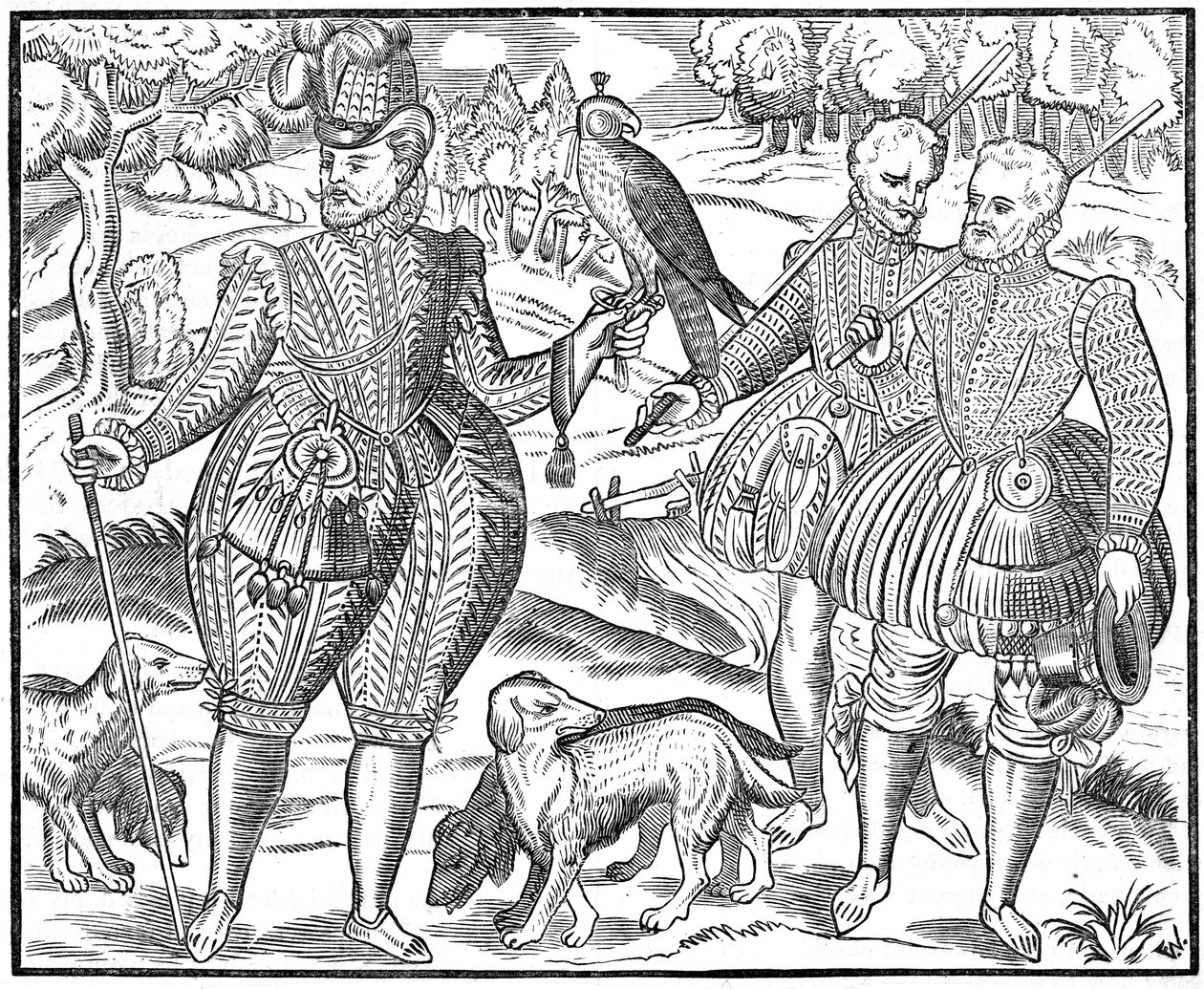 Bir şahin, 1611 by Unbekannt