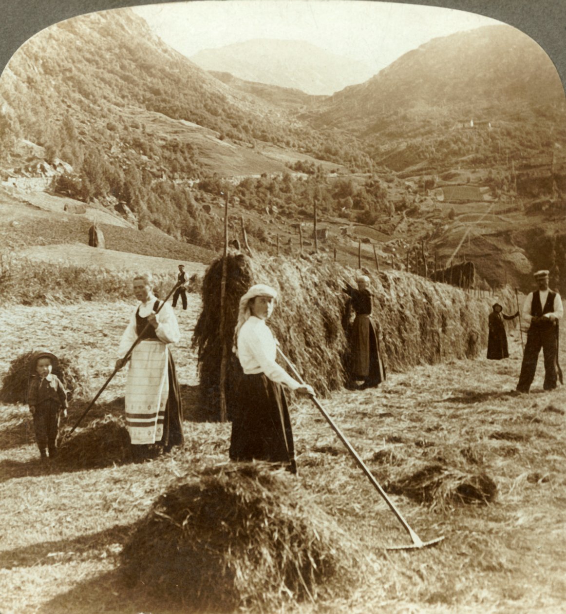 Dağlar arasındaki güneşli bir tarlada saman yapan çiftçi bir aile, Roldal, Norveç, c1905. by Unbekannt
