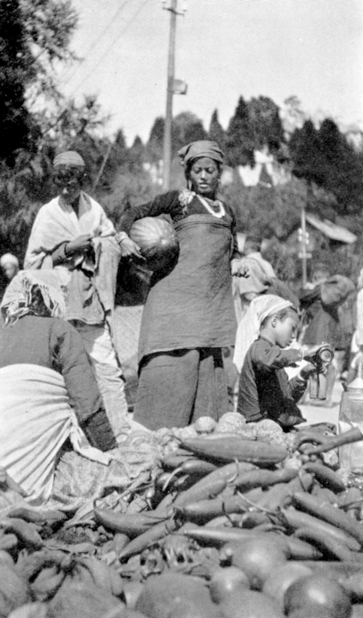 Darjeeling, Batı Bengal, Hindistan