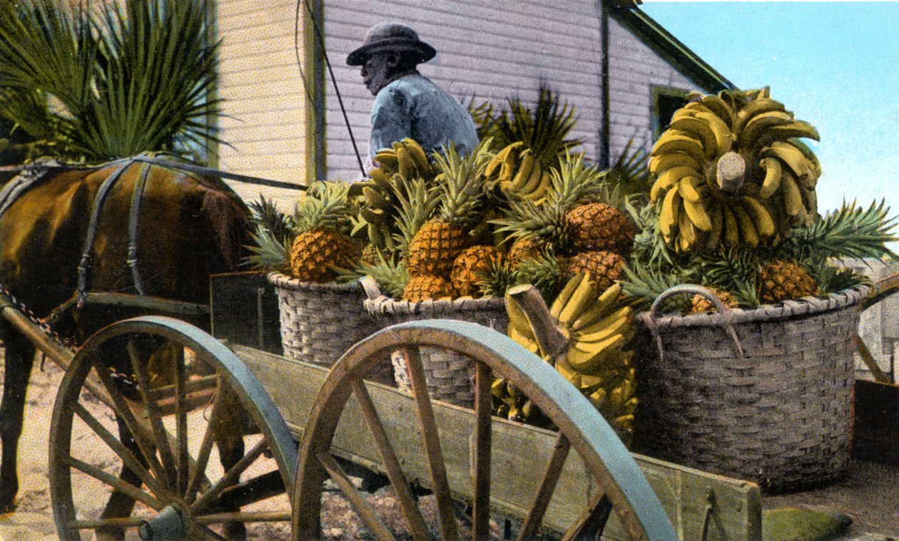 Bir meyve tüccarı, Taboga Adası, Panama, 20. yüzyılın başlarında by Unbekannt
