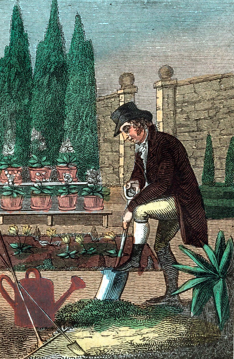 Bir bahçıvan kürekle kazıyor, 1821 by Unbekannt