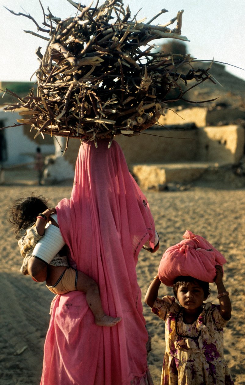 Rajasthan'daki bir köyden yerel bir oduncu aile. Rajasthan, Hindistan. 25 Şubat 2005. (fotoğraf) by Unbekannt