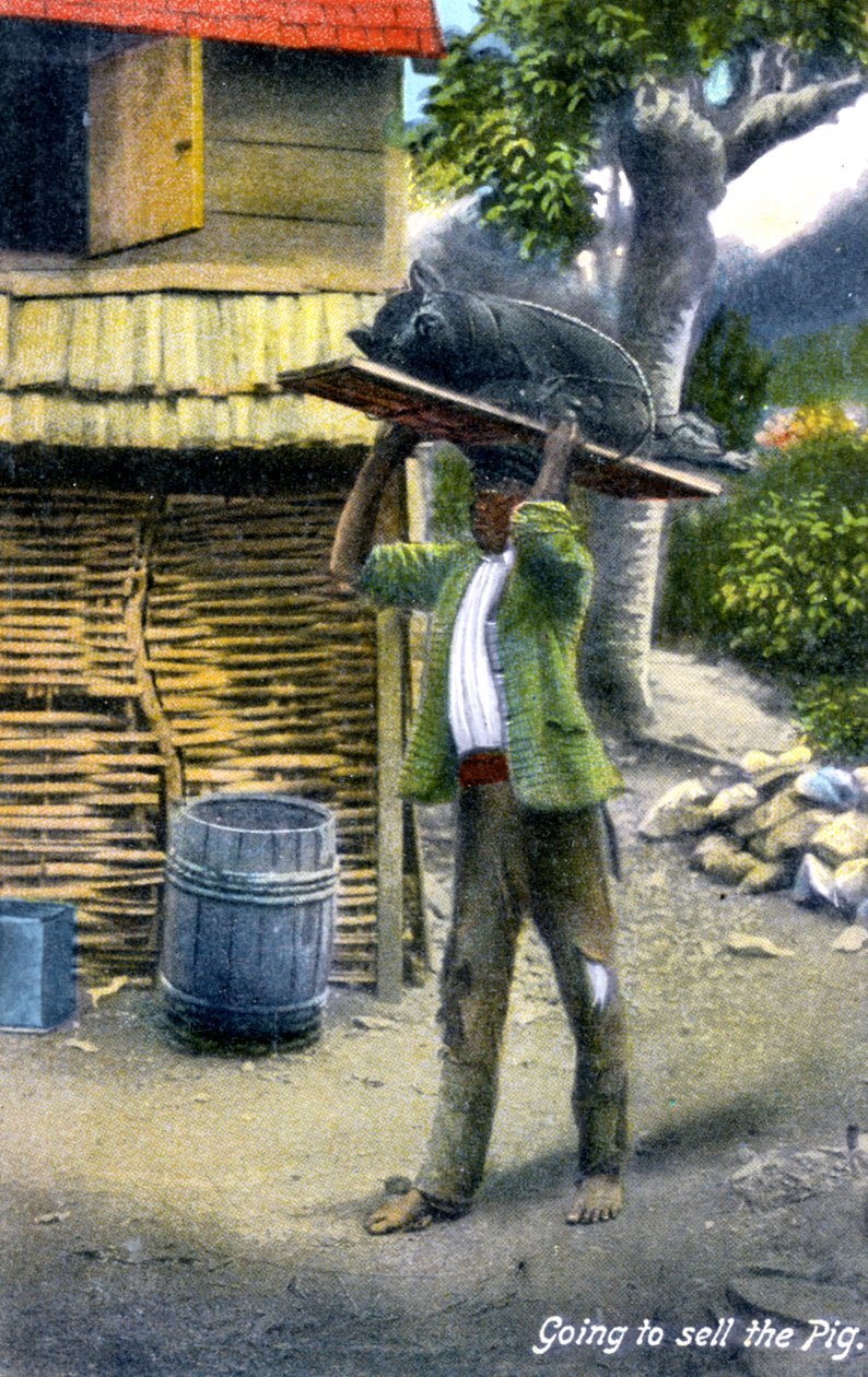 Domuz satmak için pazara giden bir adam, Jamaika, c1900s by Unbekannt