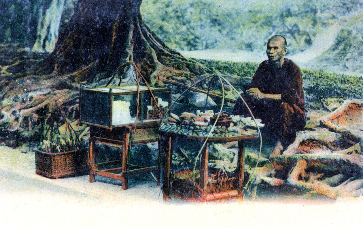 Bir ağacın altında meyve satan bir adam, Hong Kong, Çin, 1900