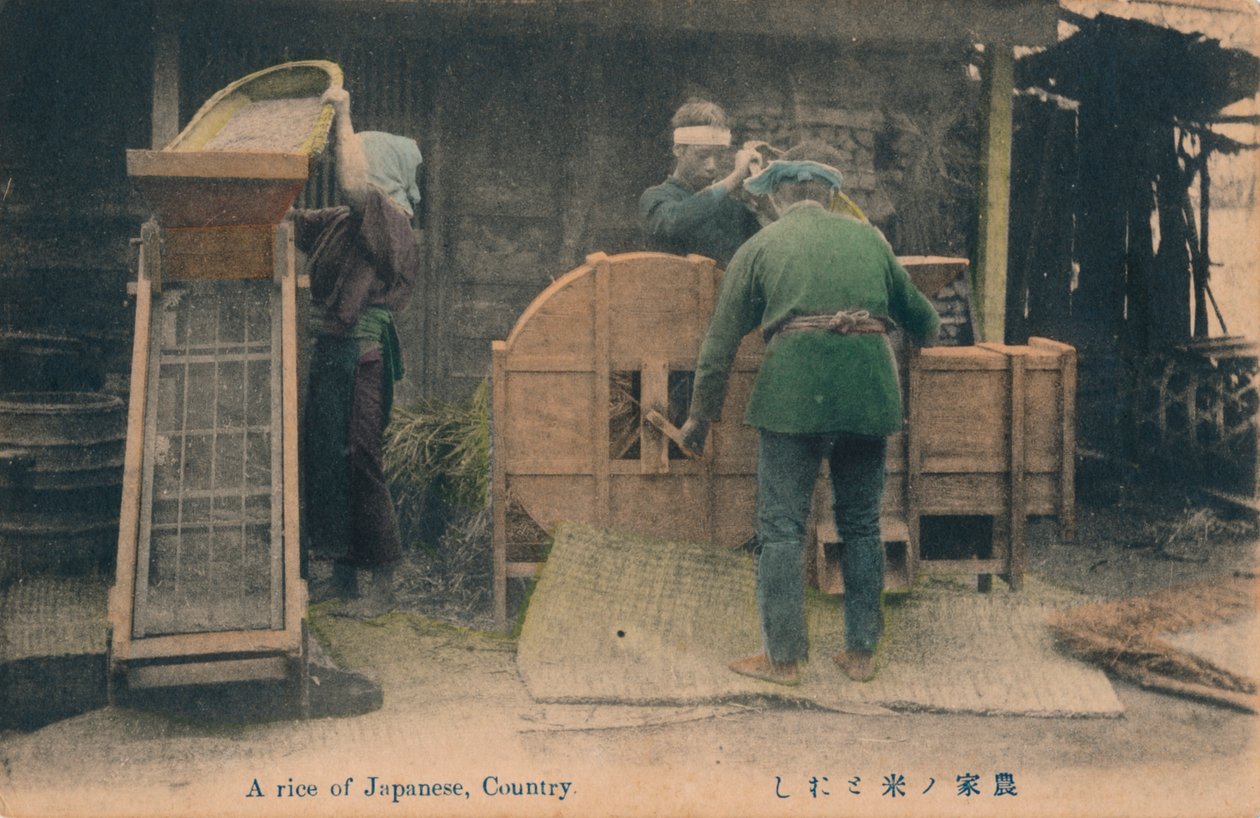 Bir Japon pirinci, Country, c1910. by Unbekannt