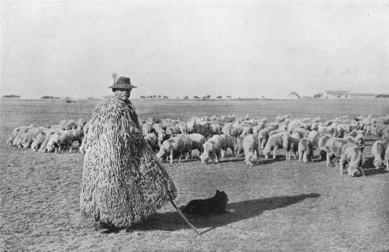 Macaristan ovalarında tipik bir çoban ve sürüsü, 1915 by Unbekannt