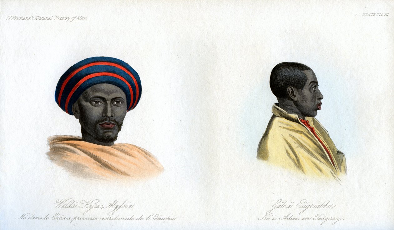 Habeş portreleri, 1848 by Unbekannt