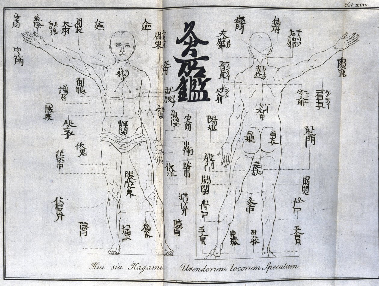 Akupunktur: yakı noktalarını gösteren insan vücudunun haritası, Japonya (Moxa ile ilgili çizelge, c 1690) by Unbekannt