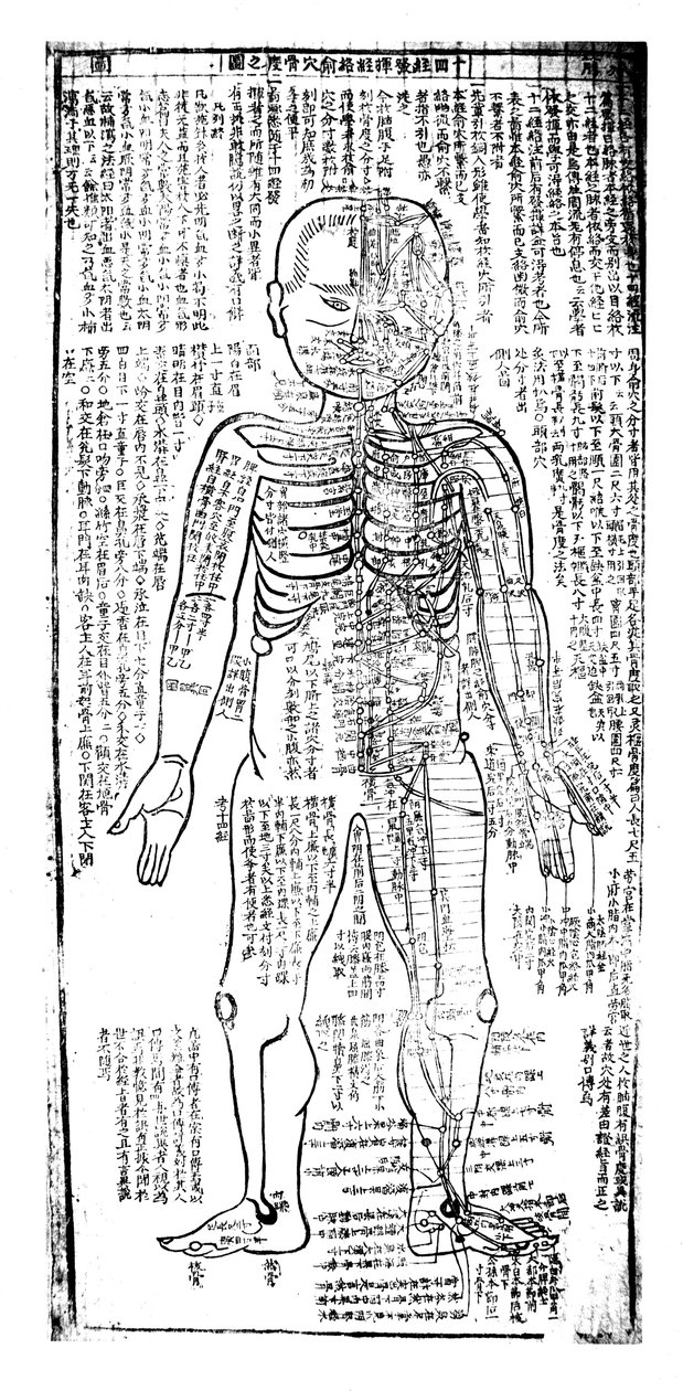 Vücudun ön tarafı için akupunktur tablosu, Japonca, 19. yüzyıl by Unbekannt