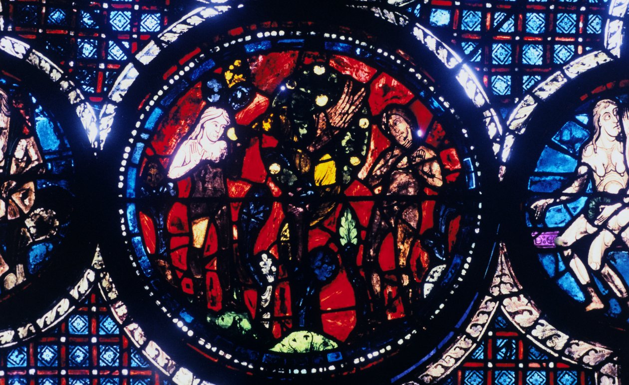 Adem ve Havva İnsanın Düşüşü, vitray, Chartres Katedrali, Fransa, 1194-1260 by Unbekannt