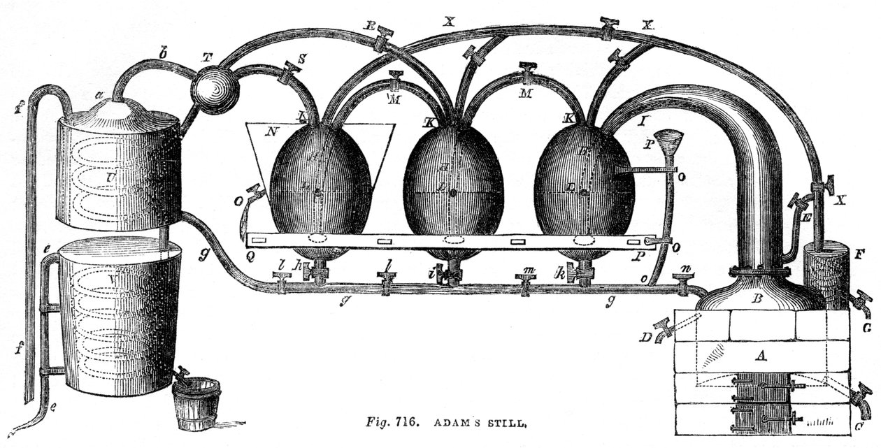 Adams hala, 1886 by Unbekannt