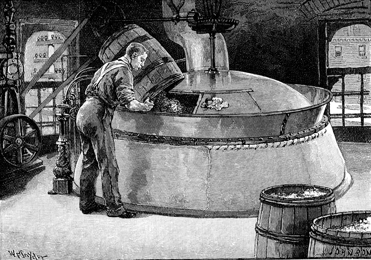 Bir Amerikan bira fabrikasında kaynayan biraya şerbetçiotu eklemek, 1885 by Unbekannt