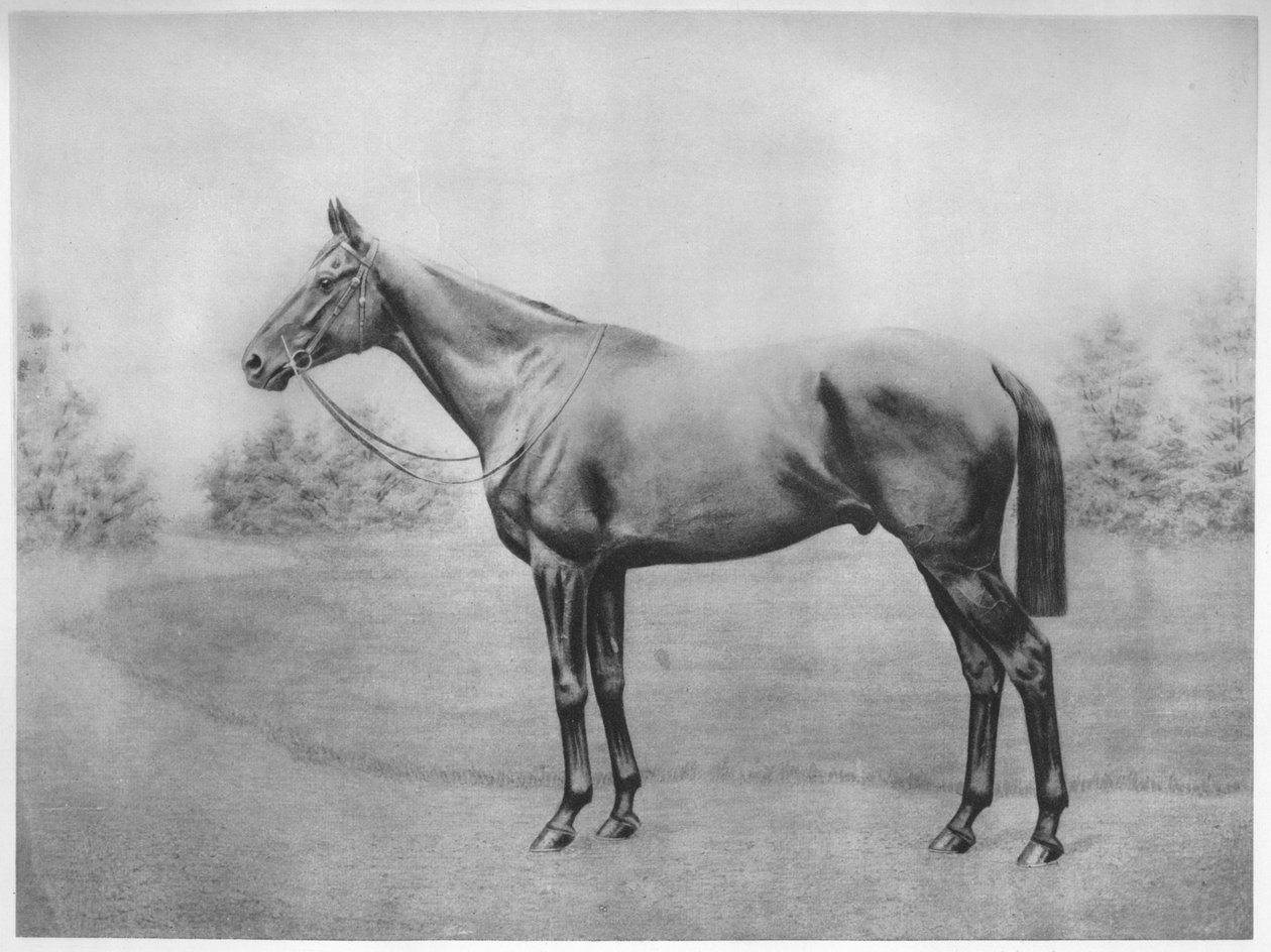 Amiral Togo III, 1911 by Unbekannt