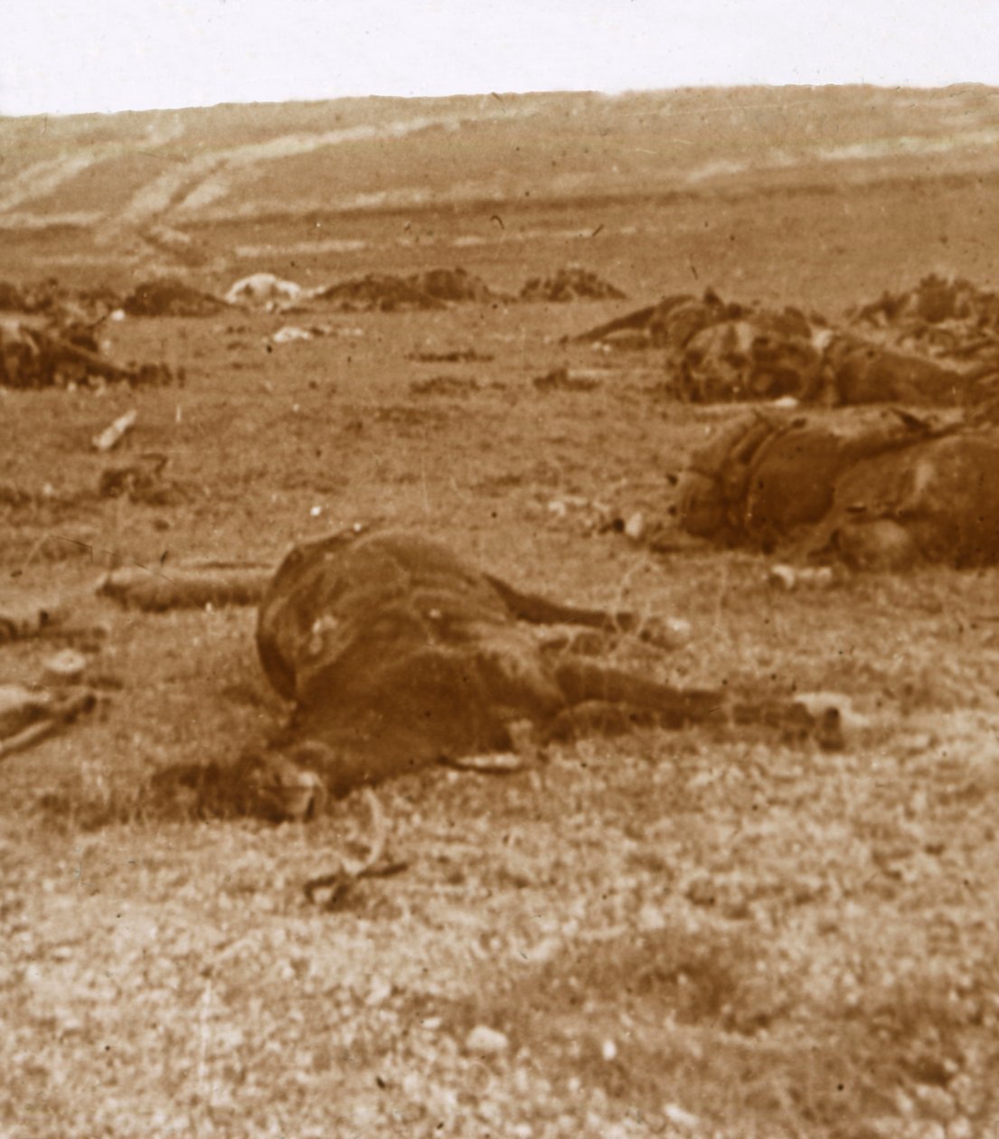 Suçlamadan sonra, Beauséjour, kuzey Fransa, c1914-c1918 by Unbekannt
