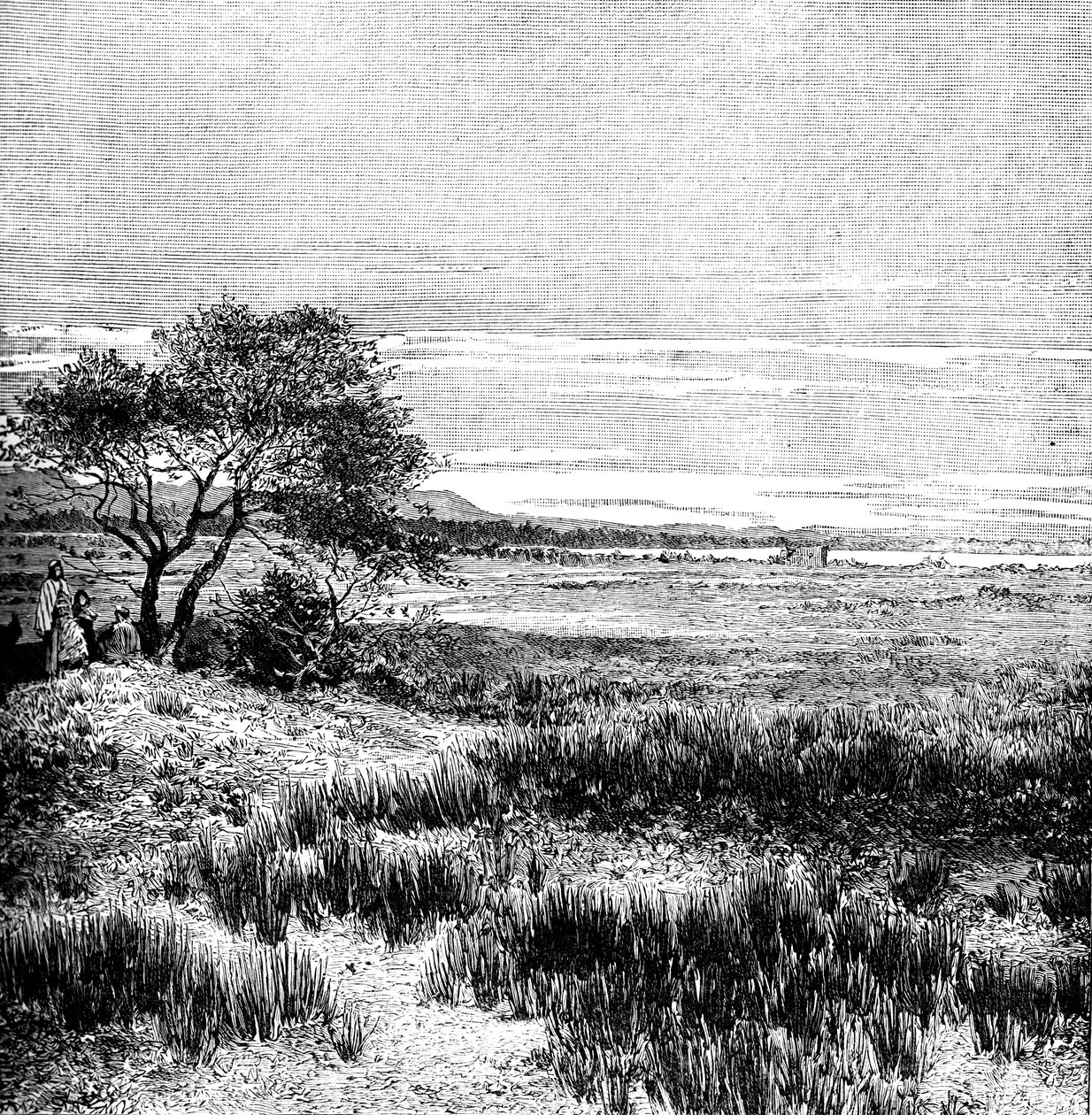 Ağa Vadisi, Central Pampa, Arjantin, 1895 by Unbekannt
