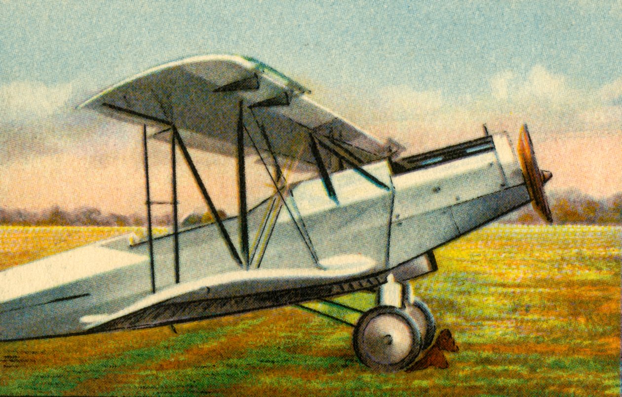 Albatros L 75a Ass uçağı, 1920